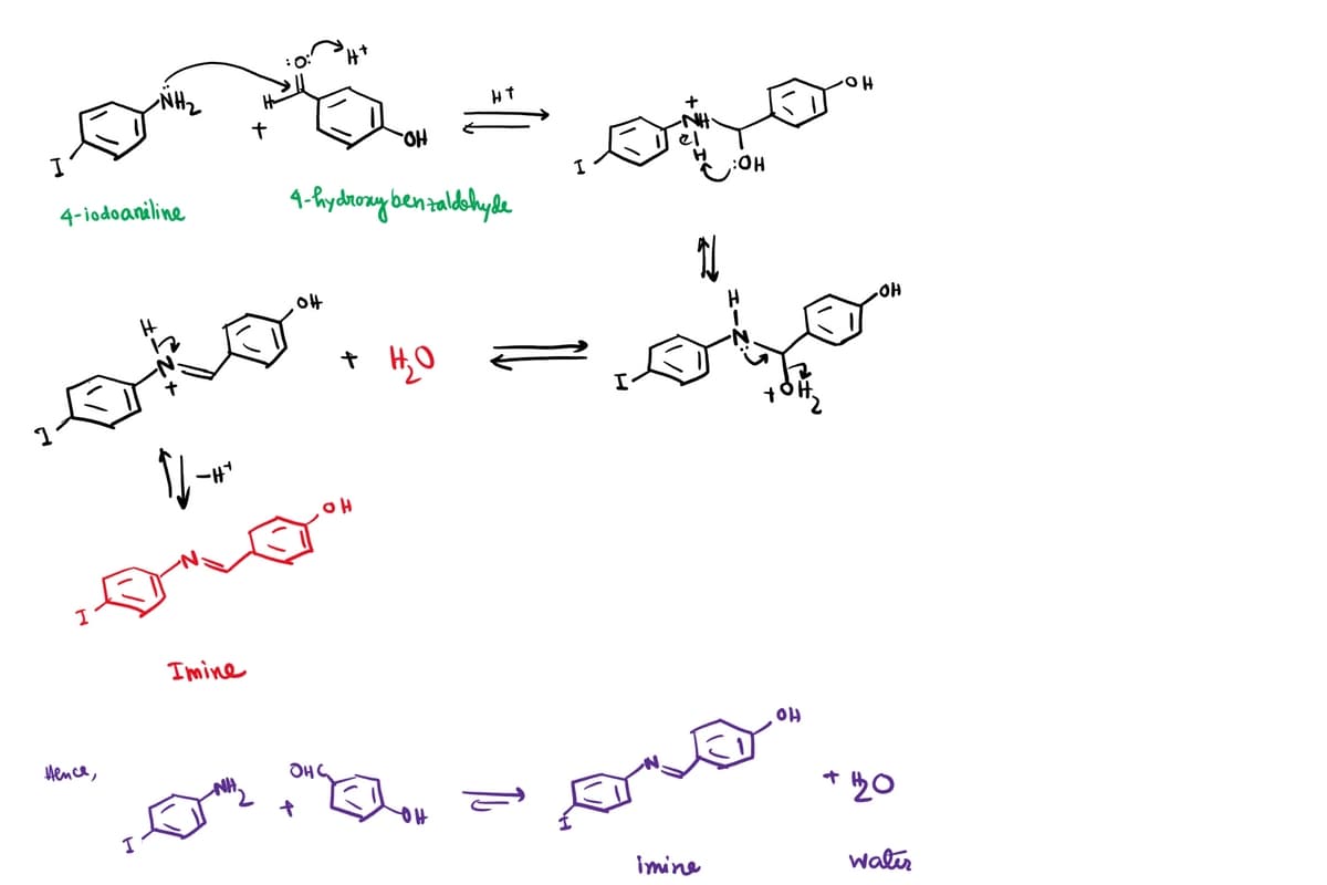 I
من يهتم
-NH2
4-iodoaniline
Hence,
-HY
ان می کرد
مه می
Imine
4-hydroxybenzaldehyde
HD.
Ho
She
+ HO
H
#e
ہیں کہ میں
HO'
imine
* 20
Water