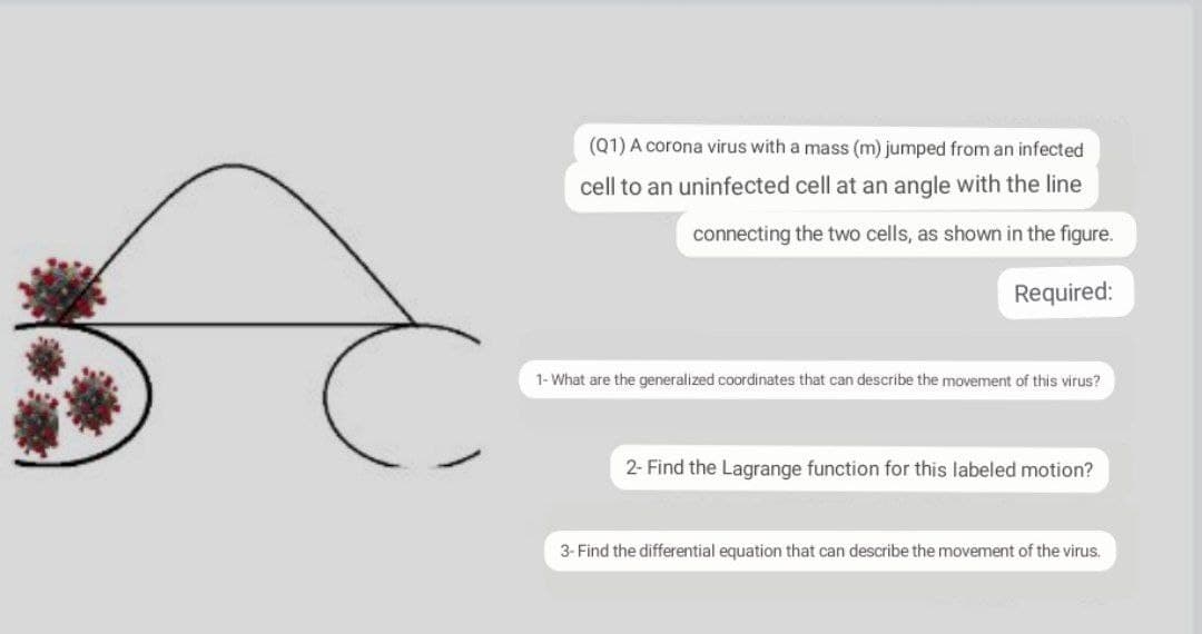 (Q1) A corona virus with a mass (m) jumped from an infected
cell to an uninfected cell at an angle with the line
connecting the two cells, as shown in the figure.
Required:
1- What are the generalized coordinates that can describe the movement of this virus?
2- Find the Lagrange function for this labeled motion?
3- Find the differential equation that can describe the movement of the virus.
