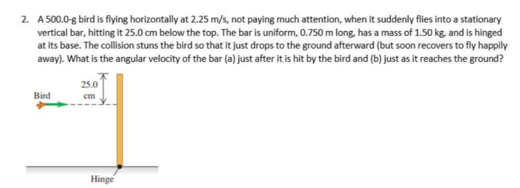 2. A 500.0-g bird is flying horizontally at 2.25 m/s, not paying much attention, when it suddenly flies into a stationary
vertical bar, hitting it 25.0 cm below the top. The bar is uniform, 0.750 m long, has a mass of 1.50 kg, and is hinged
at its base. The collision stuns the bird so that it just drops to the ground afterward (but soon recovers to fly happily
away). What is the angular velocity of the bar (a) just after it is hit by the bird and (b) just as it reaches the ground?
25.0
Bird
cm
Hinge
