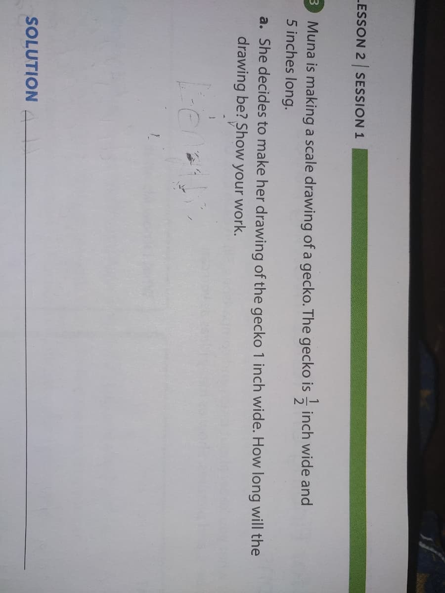 LESSON 2 SESSION 1
Muna is making a scale drawing of a gecko. The gecko is - inch wide and
5 inches long.
a. She decides to make her drawing of the gecko 1 inch wide. How long will the
drawing be? Show your work.
SOLUTION
