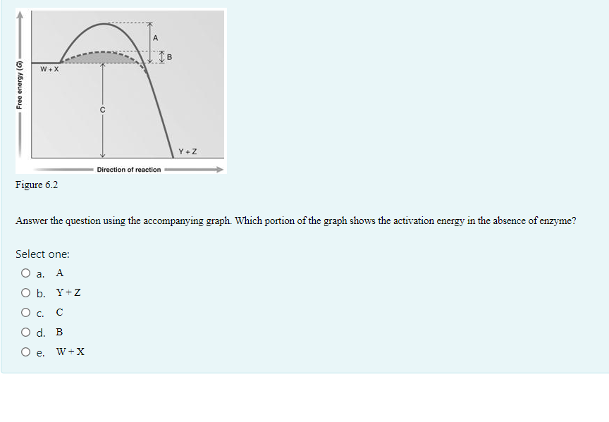 Free energy (G)
W+X
Figure 6.2
Select one:
O a. A
O b. Y+Z
O c. c
O d. B
O e.
с
W+X
K
Direction of reaction
B
Answer the question using the accompanying graph. Which portion of the graph shows the activation energy in the absence of enzyme?
Y+Z