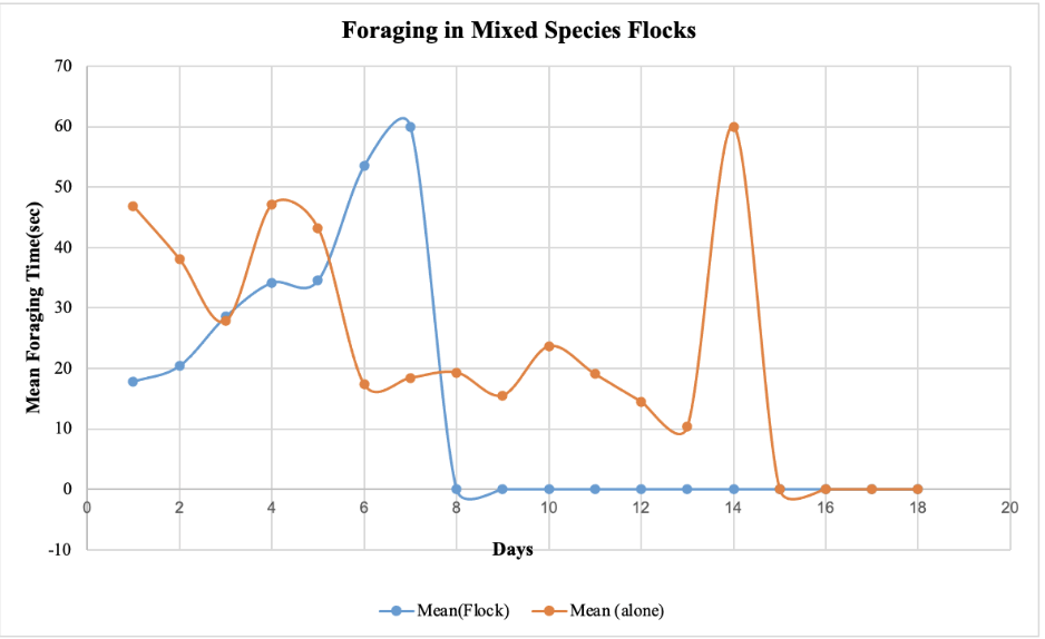 Mean Foraging Time(sec)
70
60
50
40
30
20
10
-10
N
Foraging in Mixed Species Flocks
6
00
Days
-Mean(Flock)
10
12
-Mean (alone)
14
16
•
18
m
20