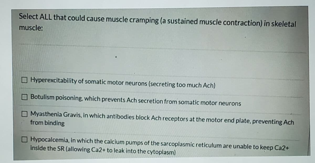 Select ALL that could cause muscle cramping (a sustained muscle contraction) in skeletal
muscle:
OHyperexcitability of somatic motor neurons (secreting too much Ach)
Botulism poisoning, which prevents Ach secretion from somatic motor neurons
O Myasthenia Gravis, in which antibodies block Ach receptors at the motor end plate, preventing Ach
from binding
O Hypocalcemia, in which the calcium pumps of the sarcoplasmic reticulum are unable to keep Ca2+
inside the SR (allowing Ca2+ to leak into the cytoplasm)
