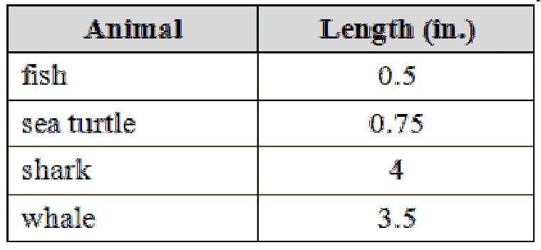 Animal
Length (in.)
fish
0.5
sea turtle
0.75
shark
4
whale
3.5
