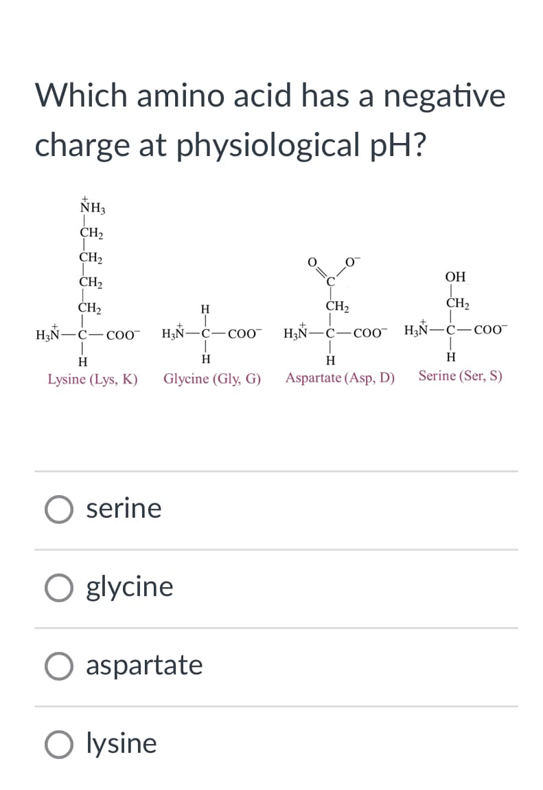 Which amino acid has a negative
charge at physiological pH?
H₂N-
NH3
CH₂
CH₂
CH₂
CH₂
C-COO™
H
Lysine (Lys, K)
serine
H₂N- C-COO
H
O glycine
O lysine
H
Glycine (Gly, G)
aspartate
C
.O.
CH₂
H₂N- C -COO™
H
Aspartate (Asp, D)
OH
CH₂
H₂N-C-
-COO™
H
Serine (Ser, S)