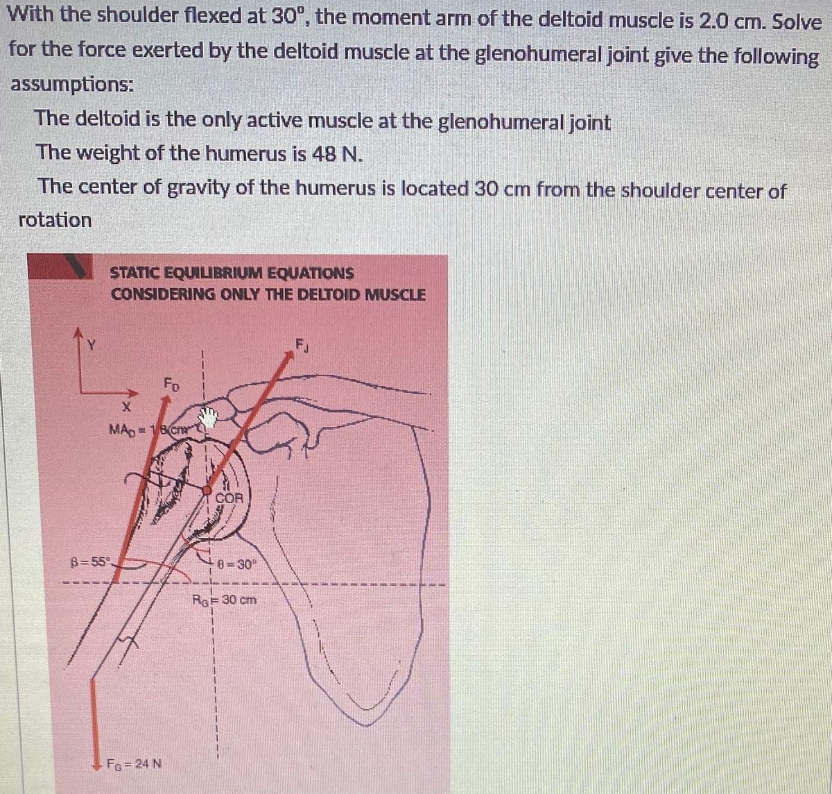 With the shoulder flexed at 30°, the moment arm of the deltoid muscle is 2.0 cm. Solve
for the force exerted by the deltoid muscle at the glenohumeral joint give the following
assumptions:
The deltoid is the only active muscle at the glenohumeral joint
The weight of the humerus is 48 N.
The center of gravity of the humerus is located 30 cm from the shoulder center of
rotation
STATIC EQUILIBRIUM EQUATIONS
CONSIDERING ONLY THE DELTOID MUSCLE
Fo
MA =
18 Cn
COR
B=55".
0-30°
RaF 30 cm
FG = 24 N
