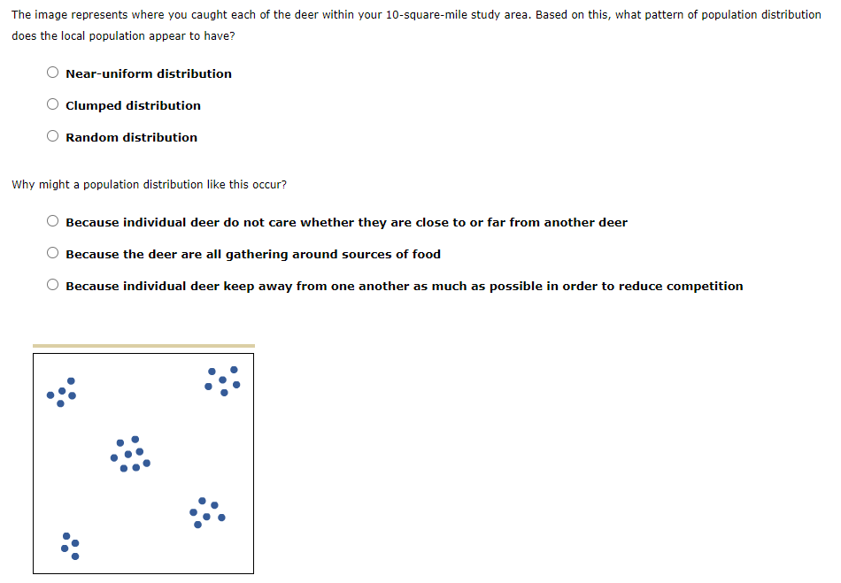 The image represents where you caught each of the deer within your 10-square-mile study area. Based on this, what pattern of population distribution
does the local population appear to have?
Near-uniform distribution
Clumped distribution
Random distribution
Why might a population distribution like this occur?
Because individual deer do not care whether they are close to or far from another deer
Because the deer are all gathering around sources of food
Because individual deer keep away from one another as much as possible in order to reduce competition
