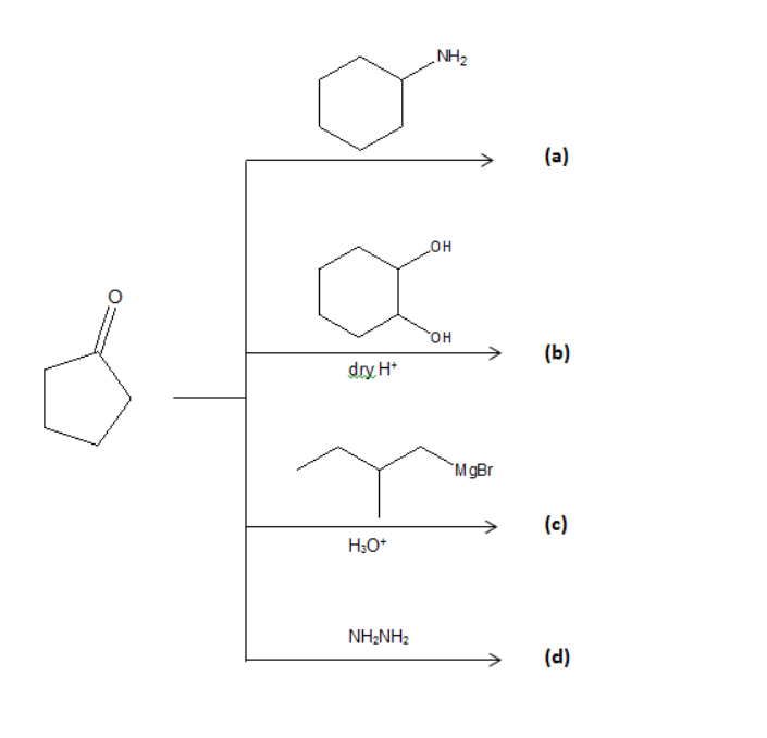 NH2
(a)
он
HO
(b)
dry H*
`MgBr
(c)
H;O*
NH;NH2
(d)
