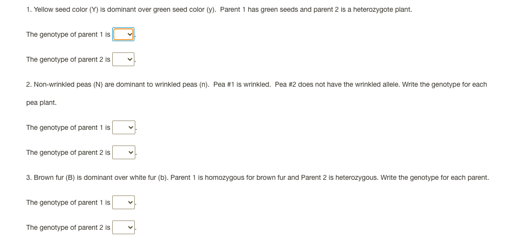 1. Yellow seed color (Y) is dominant over green seed color (y). Parent 1 has green seeds and parent 2 is a heterozygote plant.
The genotype of parent 1 is
The genotype of parent 2 is
2. Non-wrinkled peas (N) are dominant to wrinkled peas (n). Pea #1 is wrinkled. Pea #2 does not have the wrinkled allele. Write the genotype for each
pea plant.
The genotype of parent 1 is
The genotype of parent 2 is
3. Brown fur (B) is dominant over white fur (b). Parent 1 is homozygous for brown fur and Parent 2 is heterozygous. Write the genotype for each parent.
The genotype of parent 1 is
The genotype of parent 2 is
