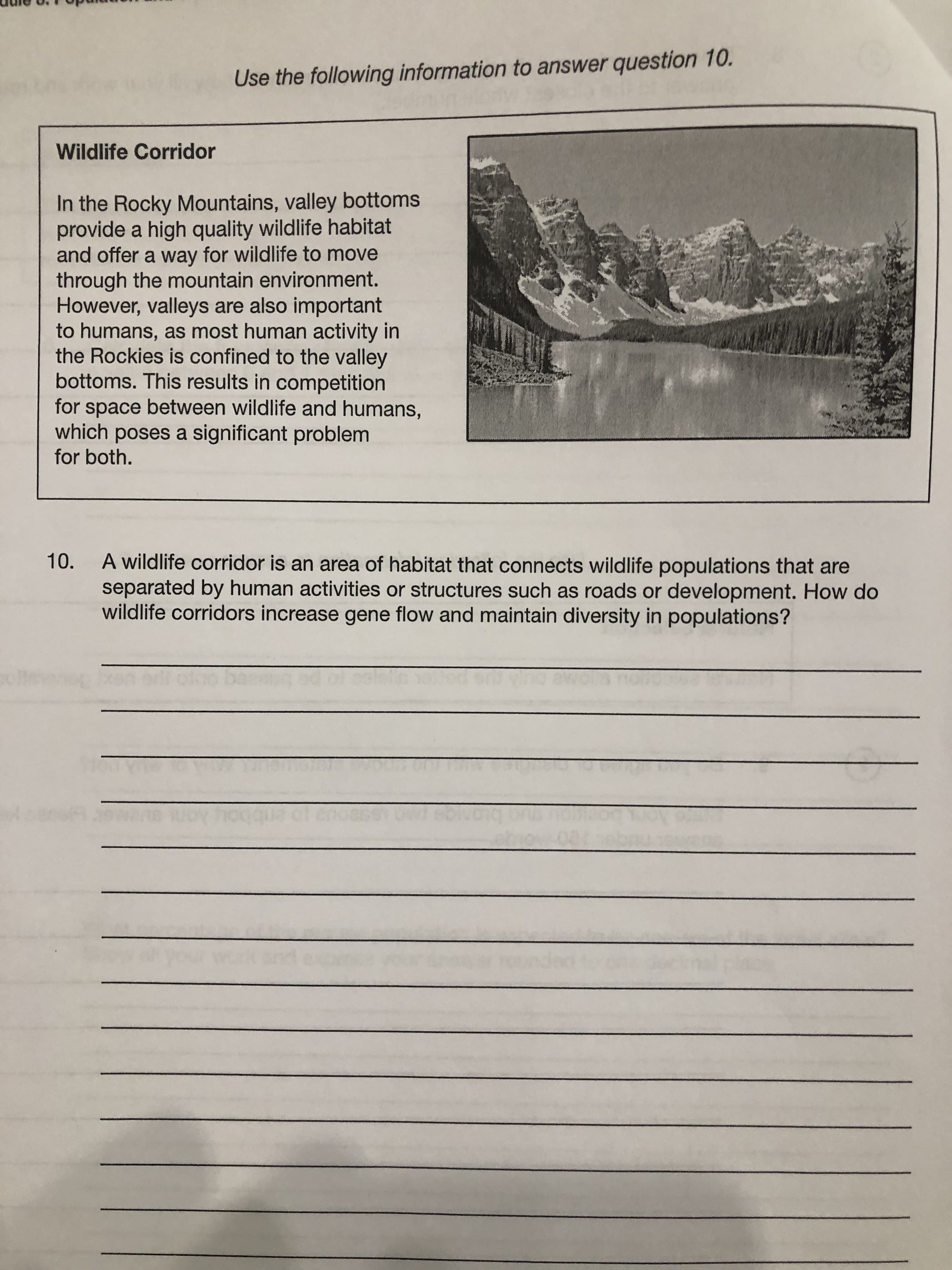 A wildlife corridor is an area of habitat that connects wildlife populations that are
separated by human activities or structures such as roads or development. How do
wildlife corridors increase gene flow and maintain diversity in populations?
10.
