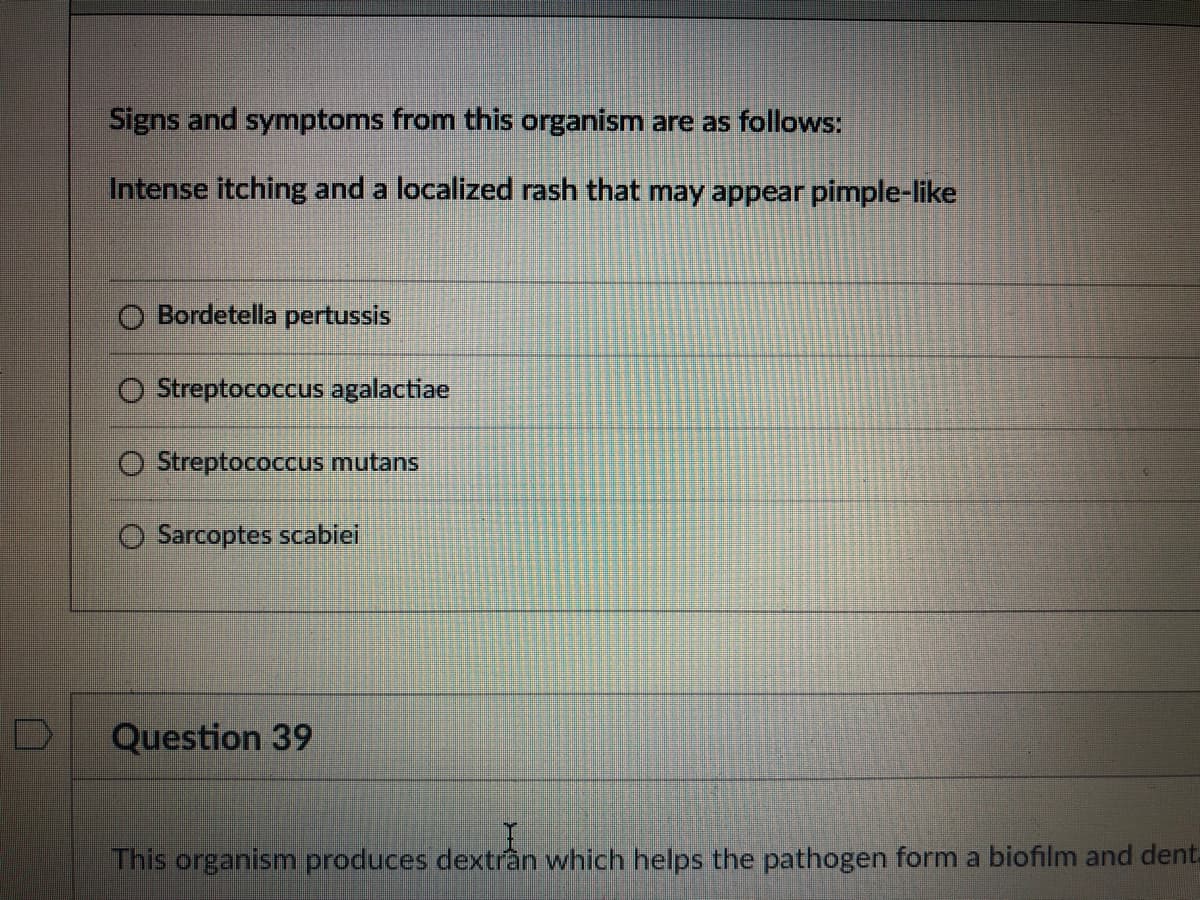 Signs and symptoms from this organism are as follows:
Intense itching and a localized rash that may appear pimple-like
O Bordetella pertussis
O Streptococcus agalactiae
O Streptococcus mutans
O Sarcoptes scabiei
Question 39
This organism produces dextrần which helps the pathogen form a biofilm and dent.
