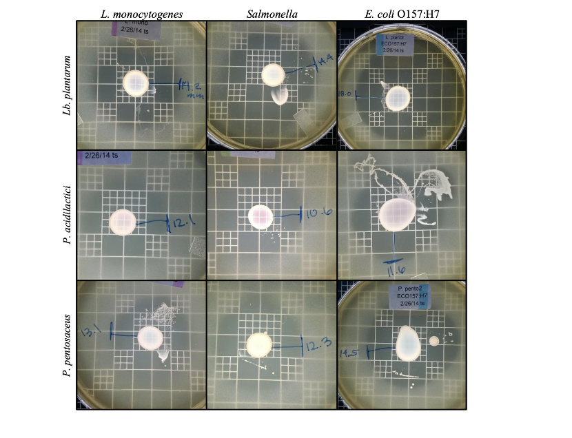 L. monocytogепes
Salmonella
E. coli O157:H7
2/26/14 ts
Lplant2
ECO157 H7
2/26/14 ts
4.4
8.0
2/26/14 ts
12.
10.6
P. pento2
ECO157 H7
2/26/14 ts
12.3
14.5
P. pentosaceus
P. acidilactici
Lb. plantarum
