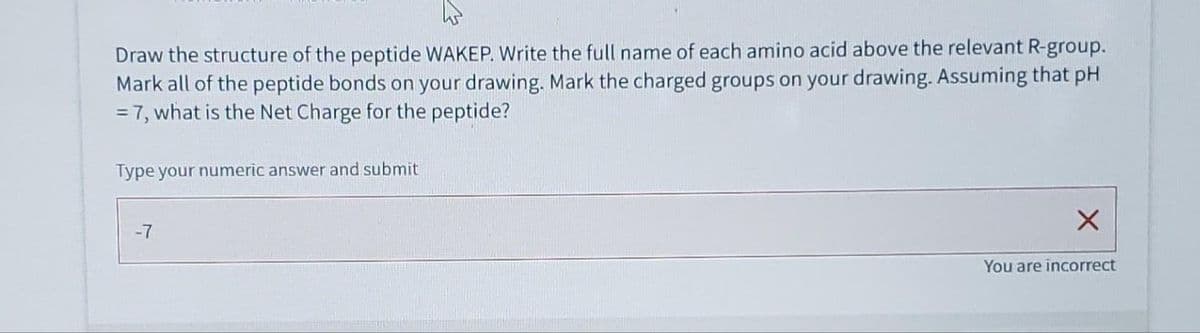 Draw the structure of the peptide WAKEP. Write the full name of each amino acid above the relevant R-group.
Mark all of the peptide bonds on your drawing. Mark the charged groups on your drawing. Assuming that pH
= 7, what is the Net Charge for the peptide?
Type your numeric answer and submit
-7
X
You are incorrect