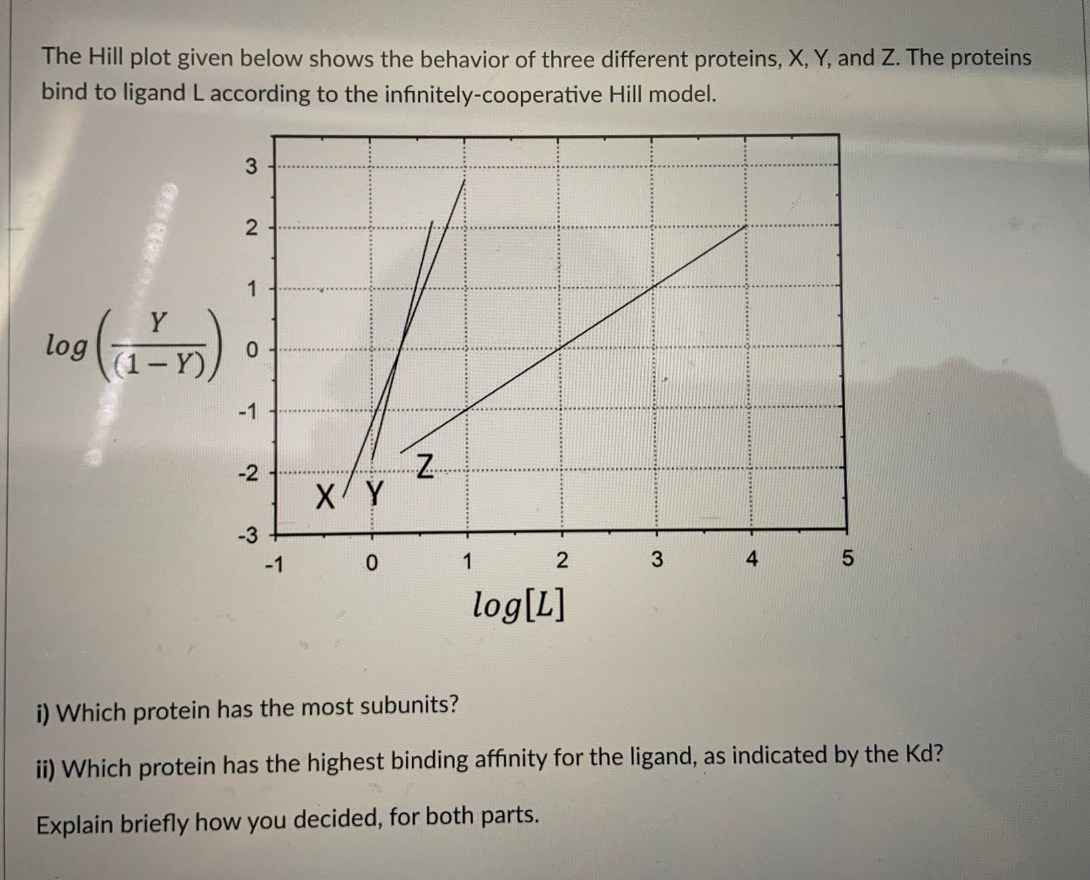 The Hill plot given below shows the behavior of three different proteins, X, Y, and Z. The proteins
bind to ligand L according to the infinitely-cooperative Hill model.
1
Y
log
(1-Y),
-1
-2
-3
-1
1
4
log[L]
i) Which protein has the most subunits?
ii) Which protein has the highest binding affinity for the ligand, as indicated by the Kd?
Explain briefly how you decided, for both parts.
3.
