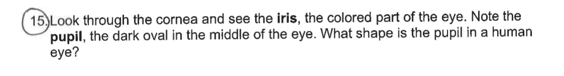 15)Look through the cornea and see the iris, the colored part of the eye. Note the
pupil, the dark oval in the middle of the eye. What shape is the pupil in a human
eye?
