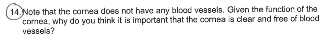 14. Note that the cornea does not have any blood vessels. Given the function of the
cornea, why do you think it is important that the cornea is clear and free of blood
vessels?
