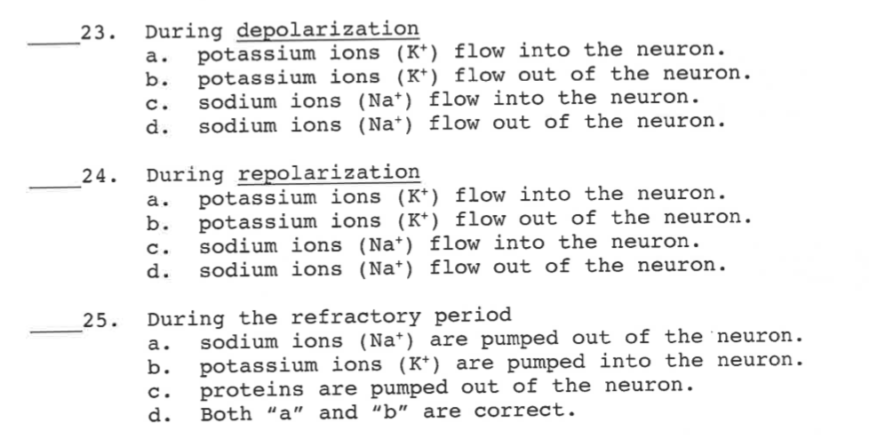 During depolarization
potassium ions (K*) flow into the neuron.
potassium ions (K*) flow out of the neuron.
sodium ions (Na*) flow into the neuron.
sodium ions (Na*) flow out of the neuron.
23.
а.
b.
C.
d.
During repolarization
potassium ions (K*) flow into the neuron.
potassium ions (K*) flow out of the neuron.
sodium ions (Na*) flow into the neuron.
sodium ions (Na*) flow out of the neuron.
24.
a.
b.
с.
d.
During the refractory period
sodium ions (Na*) are pumped out of the 'neuron.
potassium ions (K*) are pumped into the neuron.
proteins are pumped out of the neuron.
Both “a" and “b" are correct.
25.
а.
b.
c.
d.
