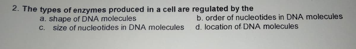 2. The types of enzymes produced in a cell are regulated by the
a. shape of DNA molecules
C. size of nucleotides in DNA molecules
b. order of nucleotides in DNA molecules
d. location of DNA molecules
