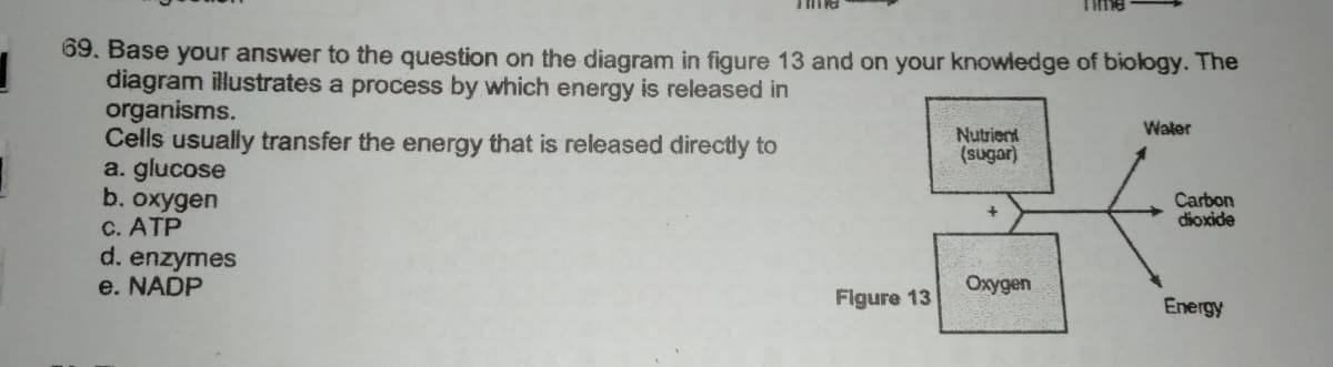 69. Base your answer to the question on the diagram in figure 13 and on your knowledge of biology. The
diagram illustrates a process by which energy is released in
organisms.
Cells usually transfer the energy that is released directly to
a. glucose
b. oxygen
C. ATP
d. enzymes
e. NADP
Water
Nutrient
(sugar)
Carbon
dioxide
Oxygen
Figure 13
Energy
