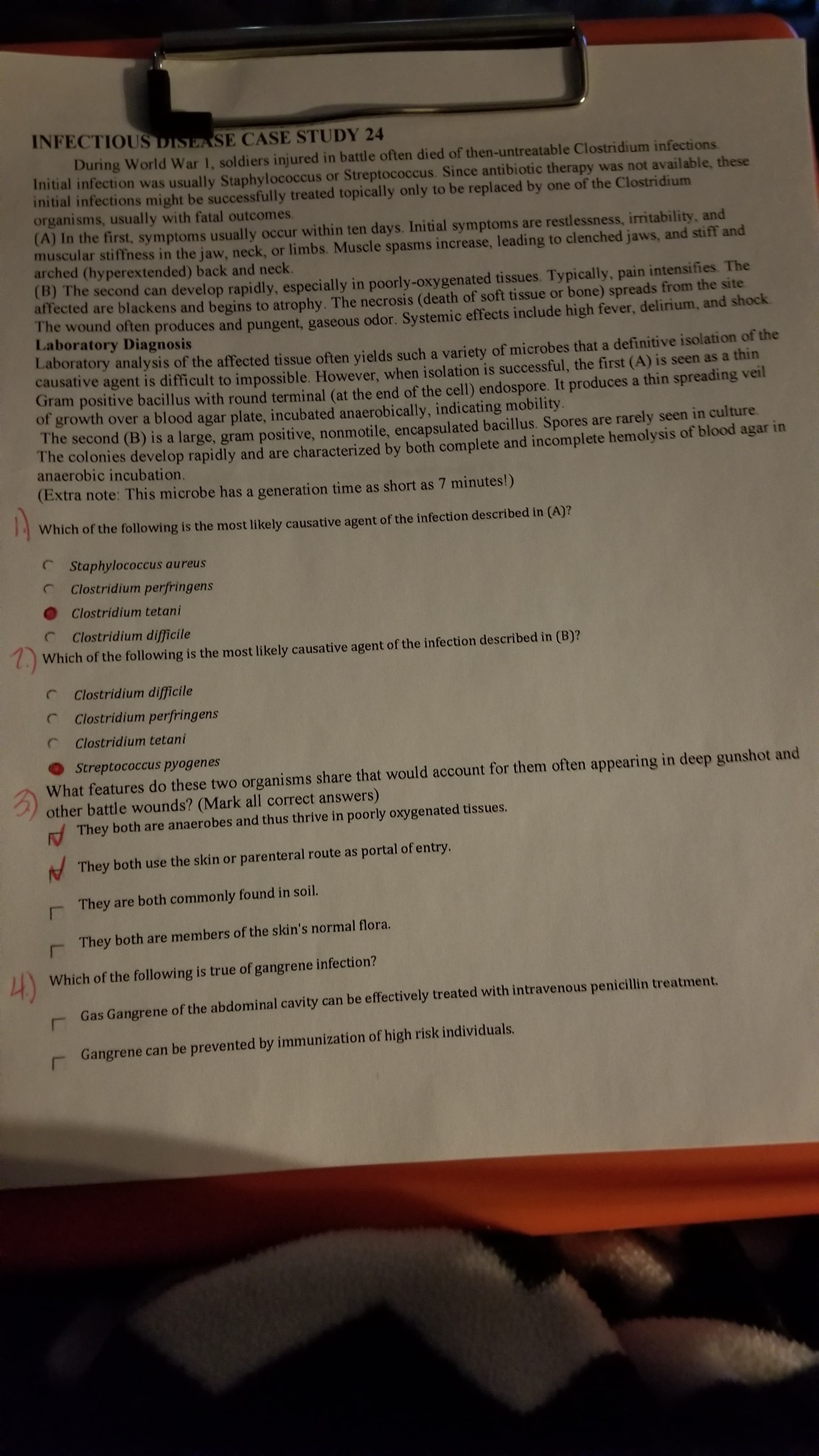 INFECTIOUS DISEASE CASE STUDY 24
During World War 1, soldiers injured in battle often died of then-untreatable Clostridium infections
Initial infection was usually Staphylococcus or Streptococcus. Since antibiotic therapy was not available, these
initial infections might be successfully treated topically only to be replaced by one of the Clostridium
organisms, usually with fatal outcomes.
(A) In the first, symptoms usually occur within ten days. Initial symptoms are restlessness, irritability, and
muscular stiffness in the jaw, neck, or limbs. Muscle spasms increase, leading to clenched jaws, and stiff and
arched (hyperextended) back and neck.
(B) The second can develop rapidly, especially in poorly-oxygenated tissues. Typically, pain intensifies. The
affected are blackens and begins to atrophy. The necrosis (death of soft tissue or bone) spreads from the site.
The wound often produces and pungent, gaseous odor. Systemic effects include high fever, delirium, and shock
Laboratory Diagnosis
Laboratory analysis of the affected tissue often vields such a variety of microbes that a definitive isolation of the
causative agent is difficult to impossible. However, when isolation is successful, the first (A) is seen as a thin
Gram positive bacillus with round terminal (at the end of the cell) endospore. It produces a thin spreading veil
of growth over a blood agar plate, incubated anaerobically, indicating mobility.
The second (B) is a large, gram positive, nonmotile, encapsulated bacillus. Spores are rarely seen in culture.
The colonies develop rapidly and are characterized by both complete and incomplete hemolysis of blood agar in
anaerobic incubation.
(Extra note: This microbe has a generation time as short as 7 minutes!)
Which of the following is the most likely causative agent of the infection described in (A)?
C Staphylococcus aureus
Clostridium perfringens
OClostridium tetani
C Clostridium difficile
7.) Which of the following is the most likely causative agent of the infection described in (B)?
Clostridium difficile
Clostridium perfringens
Clostridium tetani
Streptococcus pyogenes
3)
What features do these two organisms share that would account for them often appearing in deep gunshot and
other battle wounds? (Mark all correct answers)
A They both are anaerobes and thus thrive in poorly oxygenated tissues.
A They both use the skin or parenteral route as portal of entry.
- They are both commonly found in soil.
They both are members of the skin's normal flora.
4)
Which of the following is true of gangrene infection?
Gas Gangrene of the abdominal cavity can be effectively treated with intravenous penicillin treatment.
E Gangrene can be prevented by immunization of high risk individuals.
