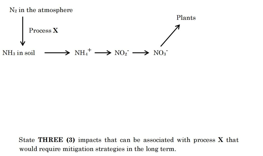 N2 in the atmosphere
Plants
Process X
+
NH3 in soil
NH,"
NO2
NO3
State THREE (3) impacts that can be associated with process X that
would require mitigation strategies in the long term.
