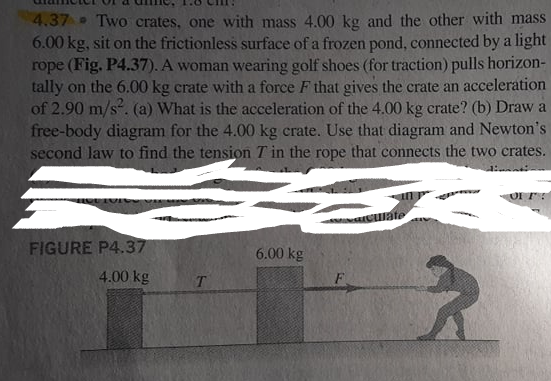 4.37 Two crates, one with mass 4.00 kg and the other with mass
6.00 kg, sit on the frictionless surface of a frozen pond, connected by a light
rope (Fig. P4.37). A woman wearing golf shoes (for traction) pulls horizon-
tally on the 6.00 kg crate with a force F that gives the crate an acceleration
of 2.90 m/s. (a) What is the acceleration of the 4.00 kg crate? (b) Draw a
free-body diagram for the 4.00 kg crate. Use that diagram and Newton's
second law to find the tension T in the rope that connects the two crates.
OF
FIGURE P4.37
6.00 kg
4.00 kg
