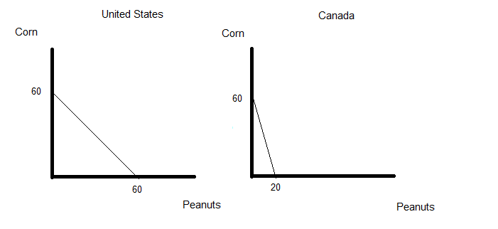 United States
Canada
Corn
Corn
60
60
60
20
Peanuts
Peanuts
