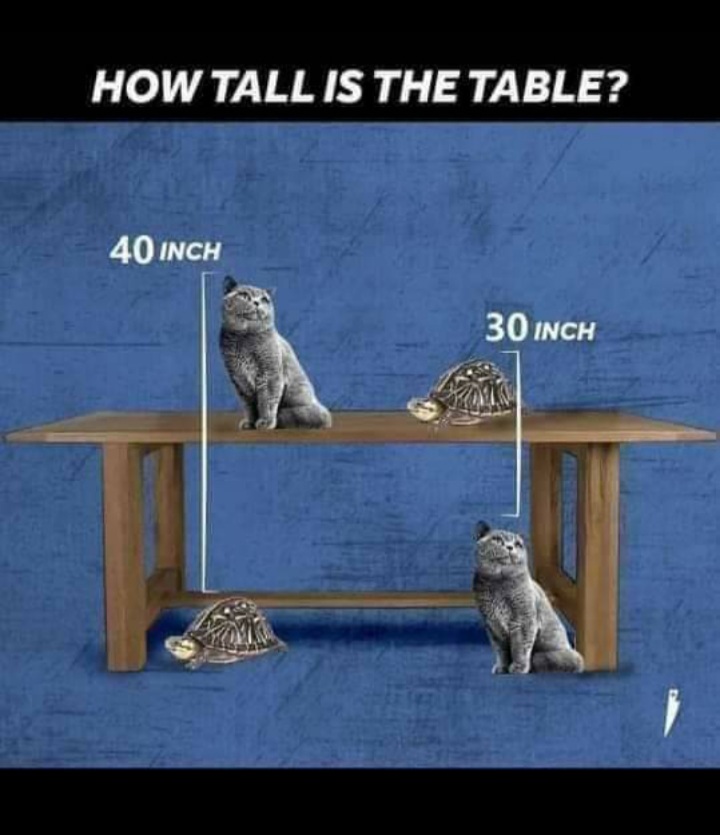 HOW TALL IS THE TABLE?
40 INCH
30 INCH
