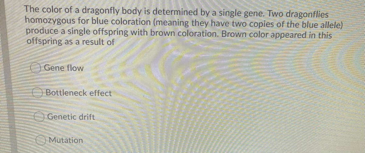 The color of a dragonfly body is determined by a single gene. Two dragonflies
homozygous for blue coloration (meaning they have two copies of the blue allele)
produce a single offspring with brown coloration. Brown color appeared in this
offspring as a result of
Gene flow
Bottleneck effect
Genetic drift
Mutation
