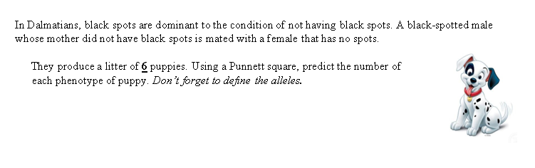 In Dalmatians, black spots are dominant to the condition of not having black spots. A black-spotted male
whose mother did not have black spots is mated with a female that has no spots.
They produce a litter of 6 puppies. Using a Punnett square, predict the number of
each phenotype of puppy. Don't forget to define the alleles.
