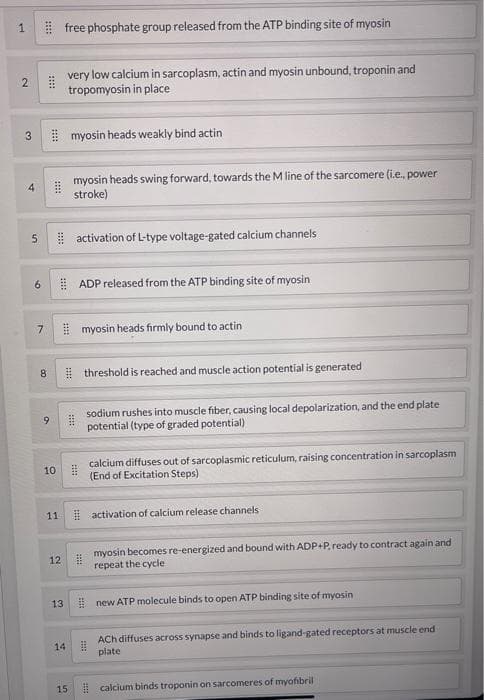 ! free phosphate group released from the ATP binding site of myosin
very low calcium in sarcoplasm, actin and myosin unbound, troponin and
tropomyosin in place
I myosin heads weakly bind actin
myosin heads swing forward, towards the M line of the sarcomere (i.e., power
stroke)
4.
! activation of L-type voltage-gated calcium channels
9.
E ADP released from the ATP binding site of myosin
I myosin heads firmly bound to actin
7
I threshold is reached and muscle action potential is generated
8.
sodium rushes into muscle fiber, causing local depolarization, and the end plate
potential (type of graded potential)
6.
calcium diffuses out of sarcoplasmic reticulum, raising concentration in sarcoplasm
(End of Excitation Steps)
10
11 activation of calcium release channels
myosin becomes re-energized and bound with ADP+P, ready to contract again and
12
repeat the cycle
13
! new ATP molecule binds to open ATP binding site of myosin
ACh diffuses across synapse and binds to ligand-gated receptors at muscle end
plate
14
15 calcium binds troponin on sarcomeres of myofibril
1.
2.
3.
