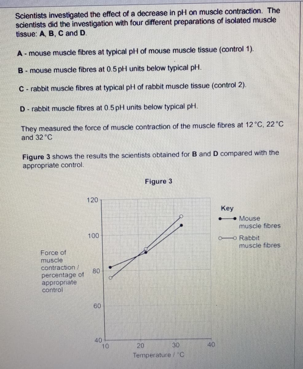 Scientists investigated the effect of a decrease in pH on muscle contraction. The
scientists did the investigation with four different preparations of isolated muscle
tissue: A, B, C and D.
A- mouse muscle fibres at typical pH of mouse muscle tissue (control 1).
B- mouse muscle fibres at 0.5 pH units below typical pH.
C - rabbit muscle fibres at typical pH of rabbit muscle tissue (control 2).
D- rabbit muscle fibres at 0.5pH units below typical pH.
They measured the force of muscle contraction of the muscle fibres at 12 °C, 22 °C
and 32 °C
Figure 3 shows the results the scientists obtained for B and D compared with the
appropriate control.
Figure 3
120
Key
Mouse
muscle fibres
100
O Rabbit
muscle fibres
Force of
muscle
contraction/
percentage of
appropriate
control
80
60
40
10
20
30
40
Termperature/C
