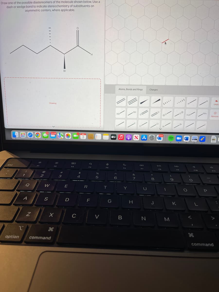 Draw one of the possible diastereomers of the molecule shown below. Use a
dash or wedge bond to indicate stereochemistry of substituents on
asymmetric centers, where applicable.
esc
1
option
Q
A
N
201
2
Drawing
W
S
124,528
X
H
command
#
3
Bri
E
D
8.0
F3
C
$
4
OCT
R
a
F4
F
5
V
FS
T
G
Atoms, Bonds and Rings
\\
HO
6
tv ♫ 9
B
NAN
Fo
Y
OH
&
7
H
A
B
F7
U
N
Charges
8
J
CI
DII
00
Br
33341
..
(
9
M
...
DO
.00
19
K
Br
H₂N
O
O
V
H
do
F10
L
H
NH₂
P
Undo
Ⓡ
Remove
F11
V
command