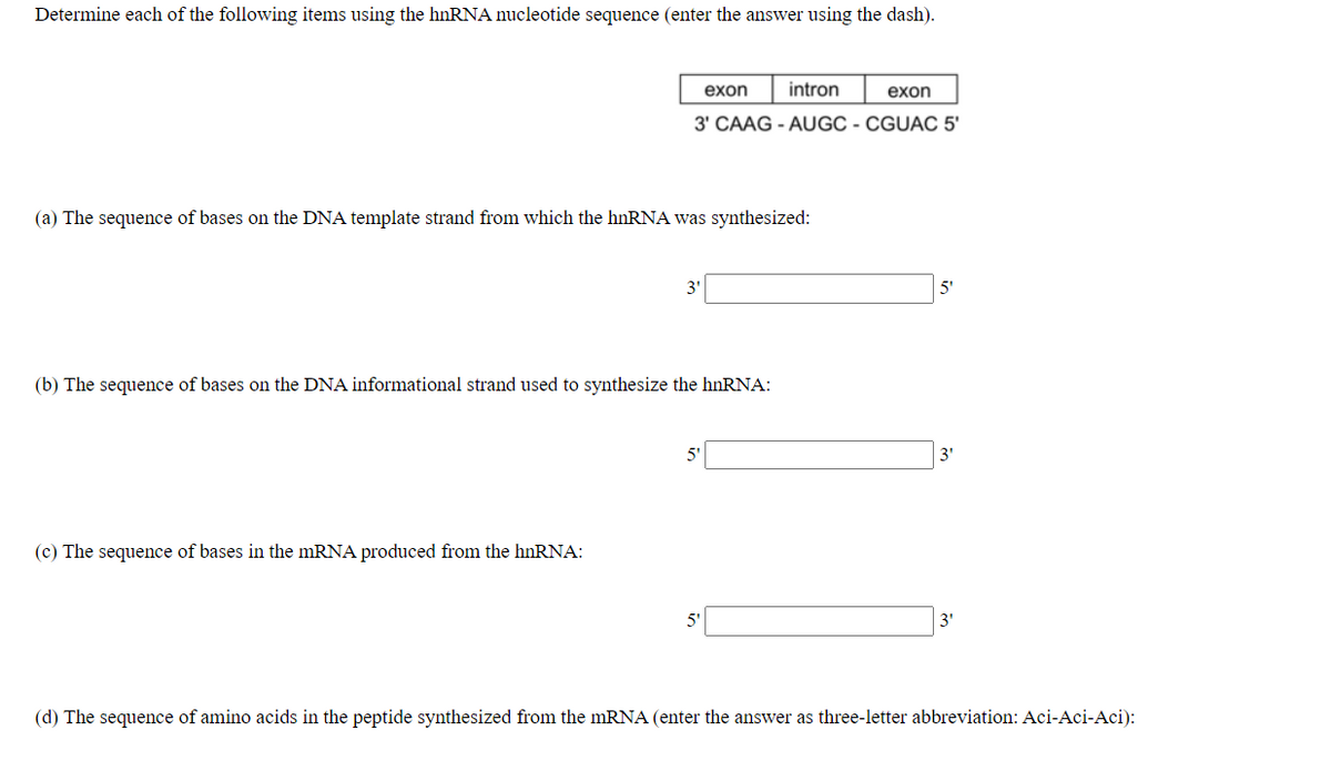 Determine each of the following items using the hnRNA nucleotide sequence (enter the answer using the dash).
exon
intron
exon
3' CAAG - AUGC - CGUAC 5'
(a) The sequence of bases on the DNA template strand from which the hnRNA was synthesized:
3'
5'
(b) The sequence of bases on the DNA informational strand used to synthesize the hnRNA:
3'
(c) The sequence of bases in the mRNA produced from the hnRNA:
5'
3'
(d) The sequence of amino acids in the peptide synthesized from the mRNA (enter the answer as three-letter abbreviation: Aci-Aci-Aci):
