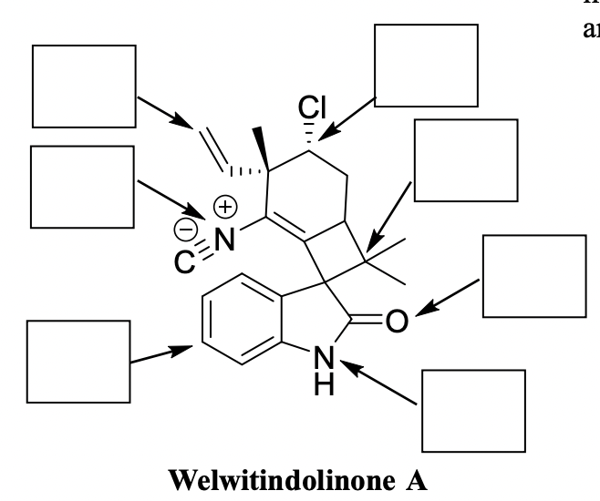 (+)
EN
ㅎ...
ZI
Welwitindolinone A
a