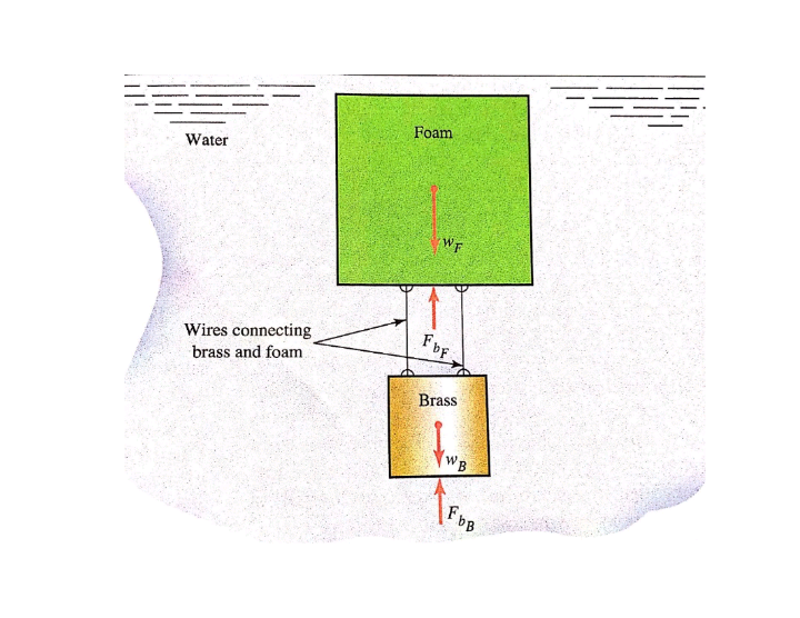 Foam
Water
WF
Wires connecting
brass and foam
Brass
WB
FOB
