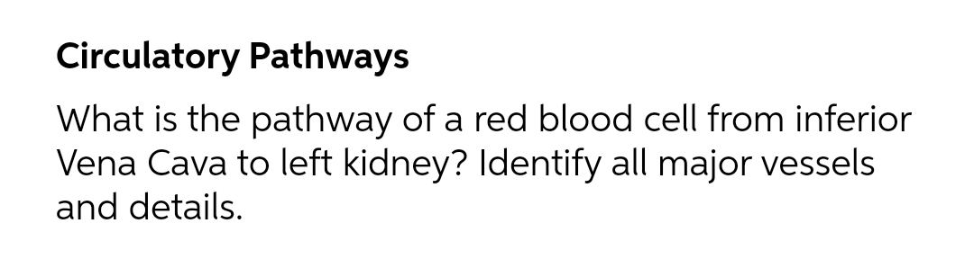 Circulatory Pathways
What is the pathway of a red blood cell from inferior
Vena Cava to left kidney? Identify all major vessels
and details.
