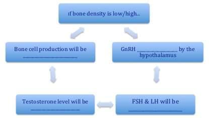 If bone density is low/high.
GARH
hypothalamus
Bone cell production will be
by the
Testosterone level will be
FSH & LH will be
