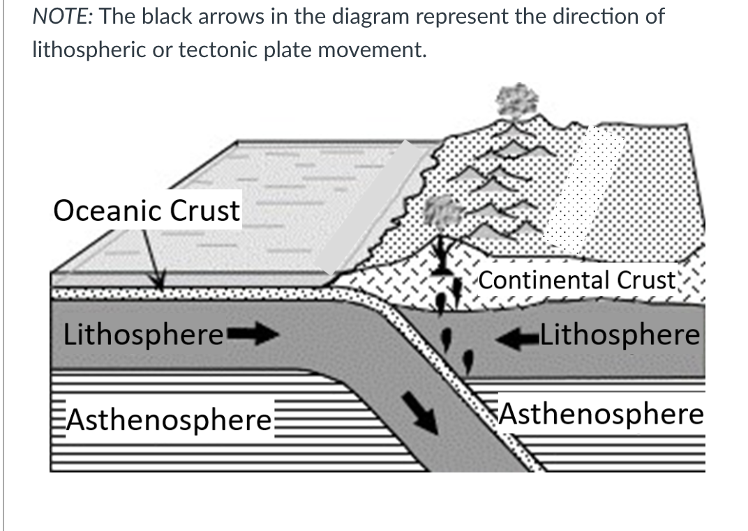 NOTE: The black arrows in the diagram represent the direction of
lithospheric or tectonic plate movement.
Oceanic Crust
Continental Crust
Lithosphere
Lithosphere
EAsthenosphere
Asthenosphere
