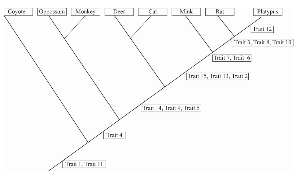 Coyote
Oppossum
Monkey
Deer
Cat
Mink
Rat
Platypus
Trait 12
Trait 3, Trait 8, Trait 10
Trait 7, Trait 6|
Trait 15, Trait 13, Trait 2
Trait 14, Trait 9, Trait 5
Trait 4
Trait 1, Trait 11
