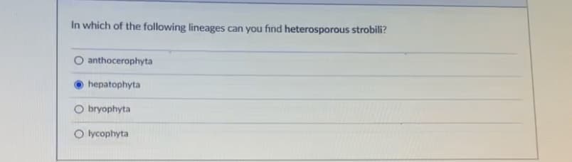 In which of the following lineages can you find heterosporous strobili?
O anthocerophyta
hepatophyta
O bryophyta
O lycophyta
