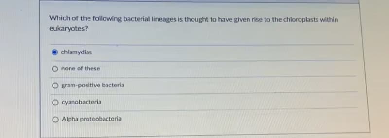 Which of the following bacterial lineages is thought to have given rise to the chloroplasts within
eukaryotes?
chlamydias
none of these
O gram-positive bacteria
O cyanobacteria
O Alpha proteobacteria
