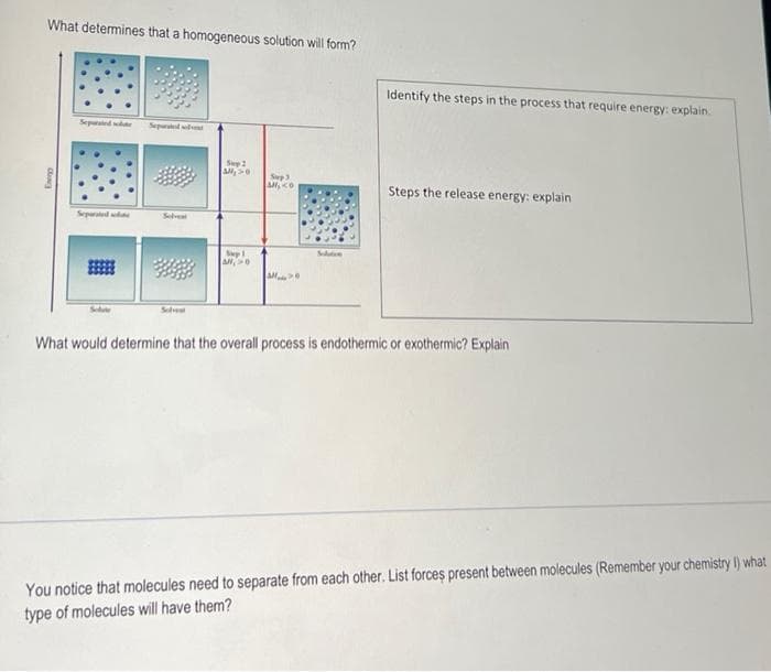 What determines that a homogeneous solution will form?
Identify the steps in the process that require energy: explain.
Seped e
Sepul t
Sep2
Sp3
Steps the release energy: explain
Separated
Selve
Sulve
What would determine that the overall process is endothermic or exothermic? Explain
You notice that molecules need to separate from each other. List forces present between molecules (Remember your chemistry I) what
type of molecules will have them?
