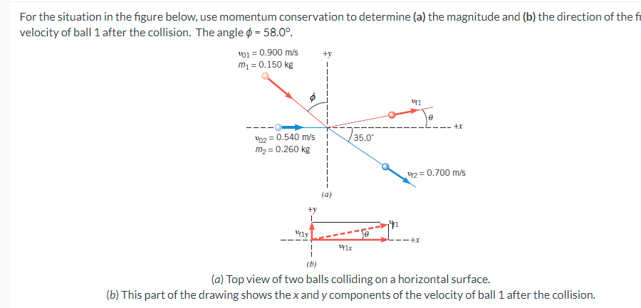 For the situation in the figure below, use momentum conservation to determine (a) the magnitude and (b) the direction of the fi
velocity of ball 1 after the collision. The angle = 58.0°.
¹01 = 0.900 m/s
m₁ = 0.150 kg
¹02 = 0.540 m/s
m₂ = 0.260 kg
+y
Uly
I
I
(b)
(a)
Uf1x
35.0*
F1
0
+x
+x
¹2 = 0.700 m/s
(a) Top view of two balls colliding on a horizontal surface.
(b) This part of the drawing shows the x and y components of the velocity of ball 1 after the collision.