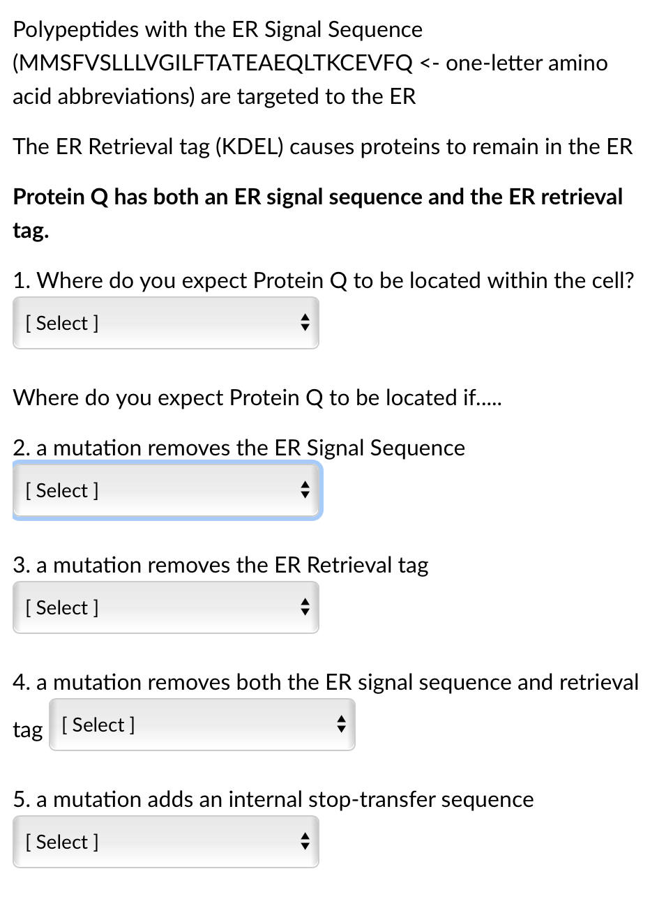 Polypeptides with the ER Signal Sequence
(MMSFVSLLLVGILFTATEAEQLTKCEVFQ <- one-letter amino
acid abbreviations) are targeted to the ER
The ER Retrieval tag (KDEL) causes proteins to remain in the ER
Protein Q has both an ER signal sequence and the ER retrieval
tag.
1. Where do you expect Protein Q to be located within the cell?
[ Select ]
Where do you expect Protein Q to be located if..
2. a mutation removes the ER Signal Sequence
[ Select ]
3. a mutation removes the ER Retrieval tag
[ Select ]
4. a mutation removes both the ER signal sequence and retrieval
tag [ Select ]
5. a mutation adds an internal stop-transfer sequence
[ Select ]
