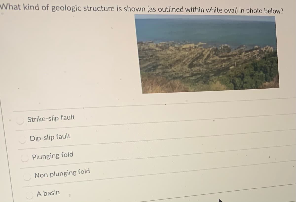 What kind of geologic structure is shown (as outlined within white oval) in photo below?
Strike-slip fault
Dip-slip fault
Plunging fold
Non plunging fold
A basin
