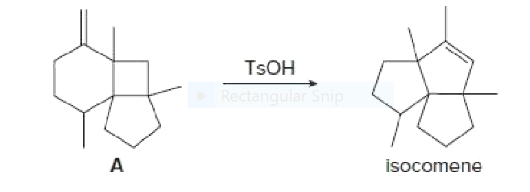 TSOH
Rectangular Snip
A
isocomene
