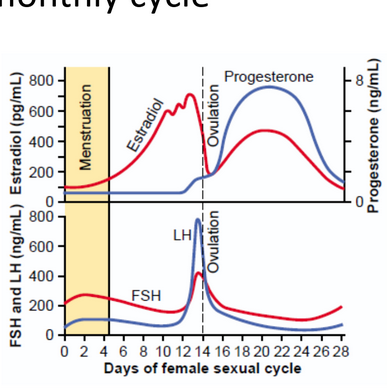 Progesterone
FSH
200
0 2 4 6 8 10 12 14 16 18 20 22 24 26 28
Days of female sexual cycle
FSH and LH (ng/mL) Estradiol (pg/mL)
Menstruation
Estradiol
Ovulation
Ovulation
Progesterone (ng/mL)
