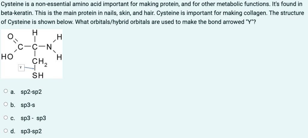 Cysteine is a non-essential amino acid important for making protein, and for other metabolic functions. It's found in
beta-keratin. This is the main protein in nails, skin, and hair. Cysteine is important for making collagen. The structure
of Cysteine is shown below. What orbitals/hybrid orbitals are used to make the bond arrowed "Y"?
HO
H
1
N
CH₂
SH
a. sp2-sp2
O b. sp3-s
O c. sp3-sp3
O d. sp3-sp2
\
H
H