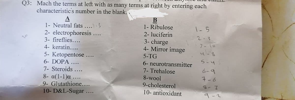 Q3: Mach the terms at left with as many terms at right by entering each
characteristic's number in the blank.
A
1- Neutral fats
B
1- Ribulose
.... 3
1-5
2- electrophoresis .
3- fireflies....
2- luciferin
3- charge
4- Mirror image
2-3
4- keratin....
5- Ketopentose
6- DOPA ....
5-TG
S-4
6- neurotransmitter
7- Trehalose
8-wool
7- Steroids
6-9
8- a(1-1)a ....
ネ-6
9-cholesterol
10- antioxidant
9- Glutathione....
3-了
10- D&L-Sugar ....
4-2
